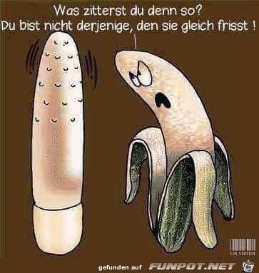 Was zitterst du so Was zitterst du so