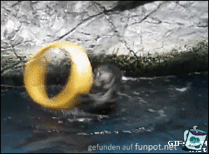 Wasserspiel im Zoo Wasserspiel im Zoo