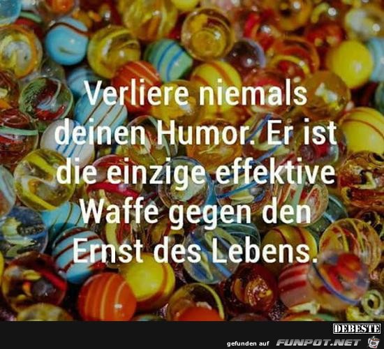 verliere niemals deinen Humor......