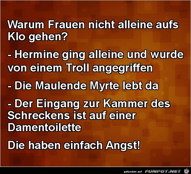 warum Frauen nicht alleine aufs Klo gehen?.......