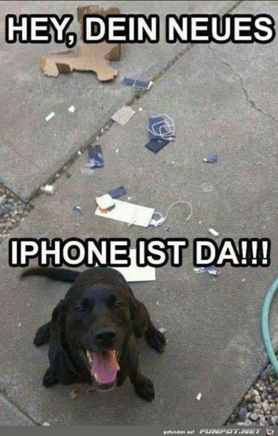 Überraschung Überraschung