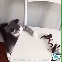 Angst oder kein Mut Angst oder kein Mut