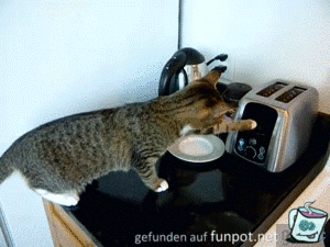 Heiß Heiß