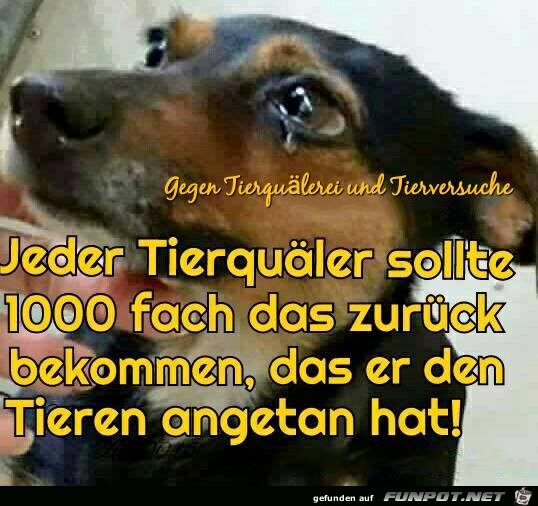 Jeder Tierquaeler