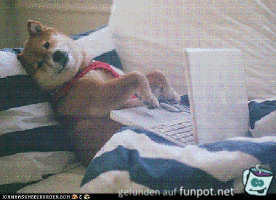 Super Arbeitsplatz Super Arbeitsplatz