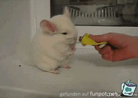 Ich will mehr Ich will mehr