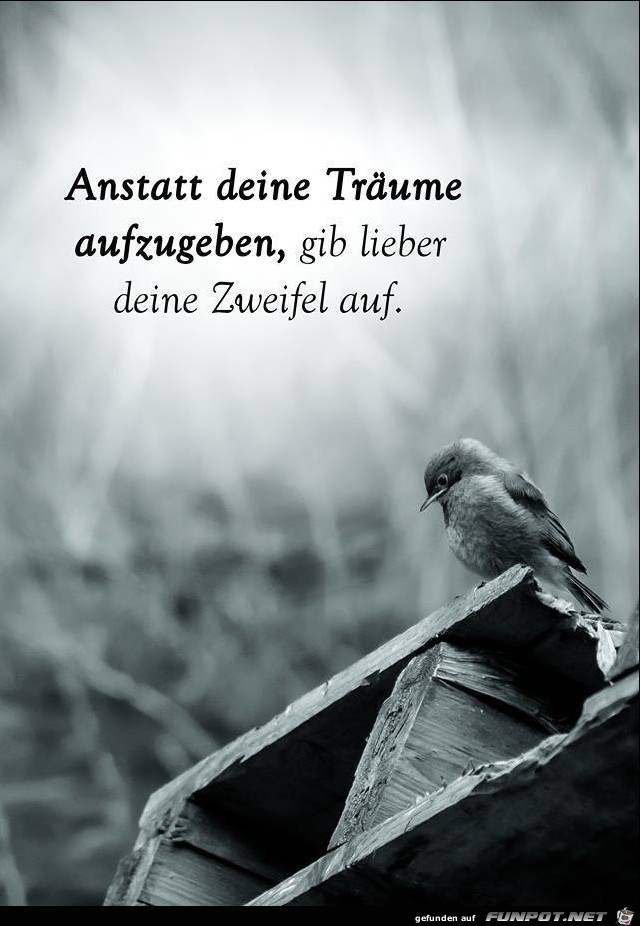 Anstatt deine Traeume