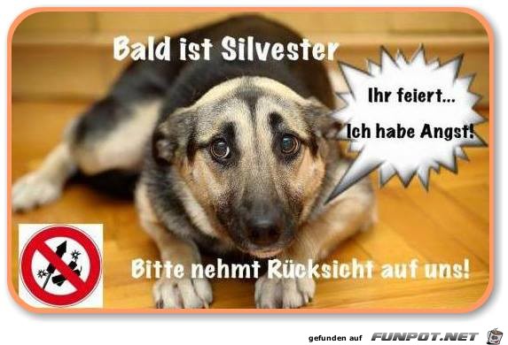 Bald ist Silvester