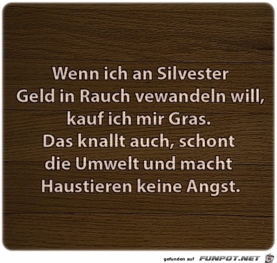 Wenn ich Silvester... Wenn ich Silvester...