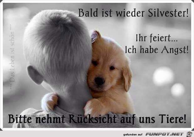 Bald ist Silvester Bald ist Silvester