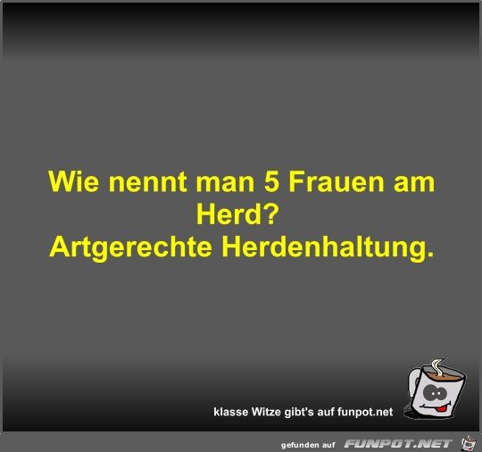 Wie nennt man 5 Frauen am Herd? Wie nennt man 5 Frauen am Herd?