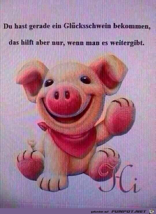 Gluecksschwein Gluecksschwein