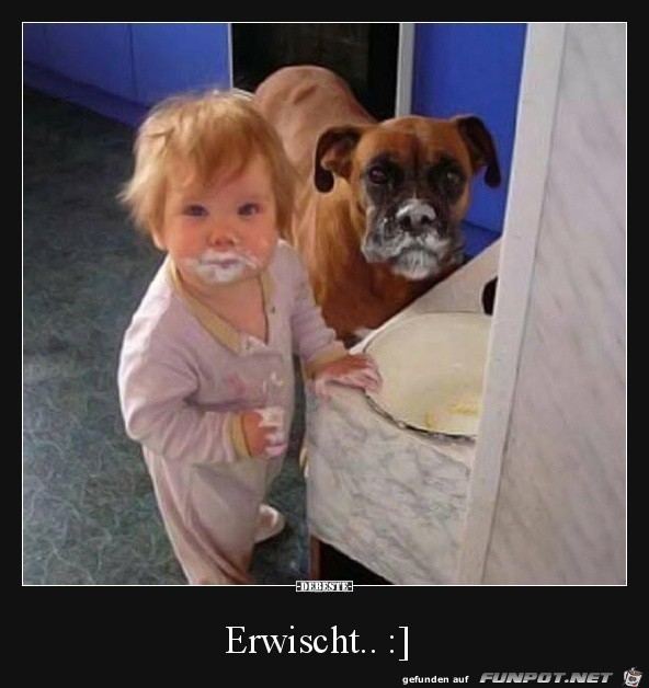 Erwischt