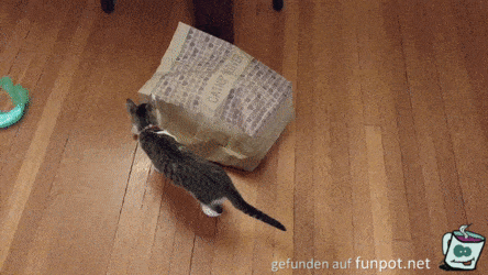Tragtaschen Spiel Tragtaschen Spiel