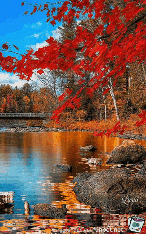 Herbstmomente Herbstmomente