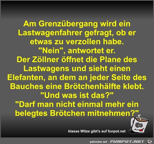 Am Grenzübergang wird ein Lastwagenfahrer gefragt Am Grenzübergang wird ein Lastwagenfahrer gefragt