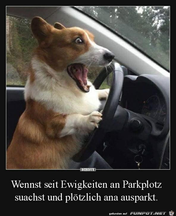 Am Parkplatz