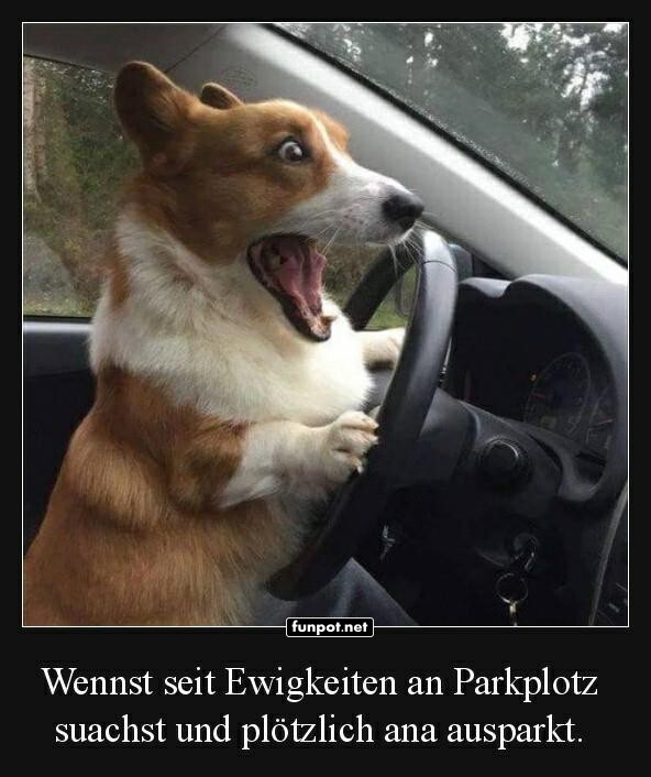 Am Parkplatz Am Parkplatz