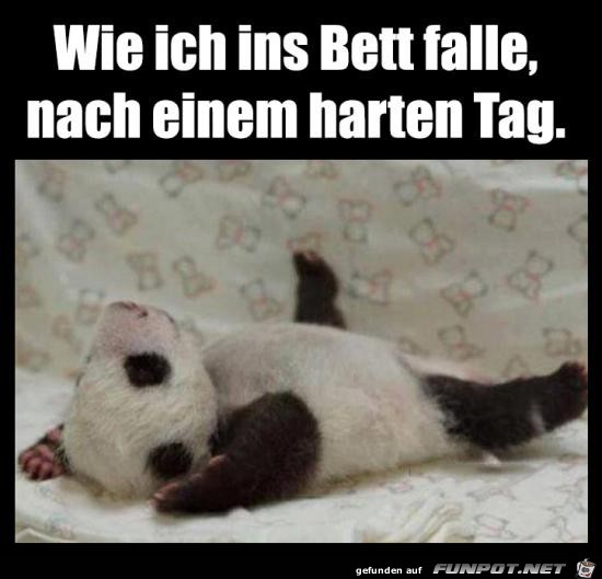 Wie ich ins Bett falle