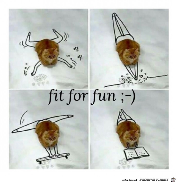 fit for fun fit for fun