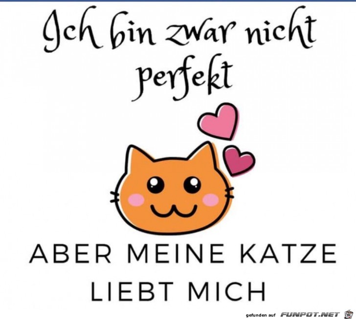 ich bin zwar nicht perfekt ich bin zwar nicht perfekt