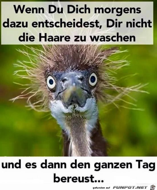 Wenn du dich morgens Wenn du dich morgens