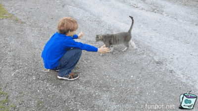 Huhn und Katze Huhn und Katze