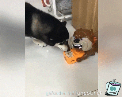 Komischer Napf Komischer Napf