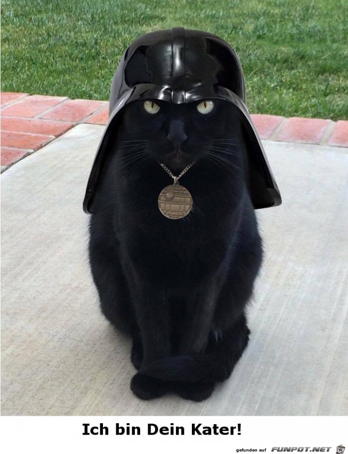 Darth Kater Darth Kater
