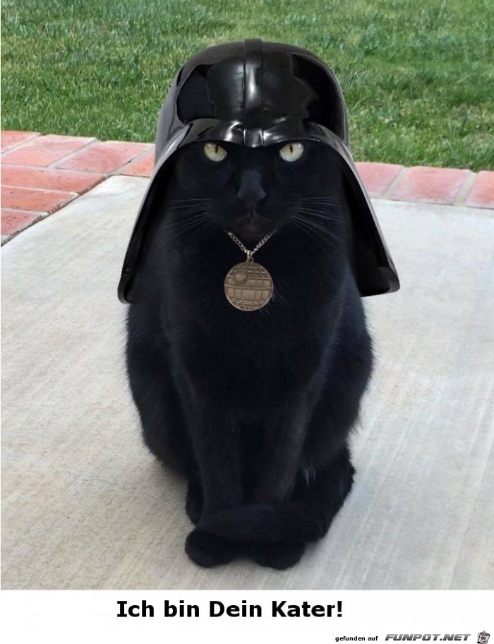 Darth Kater