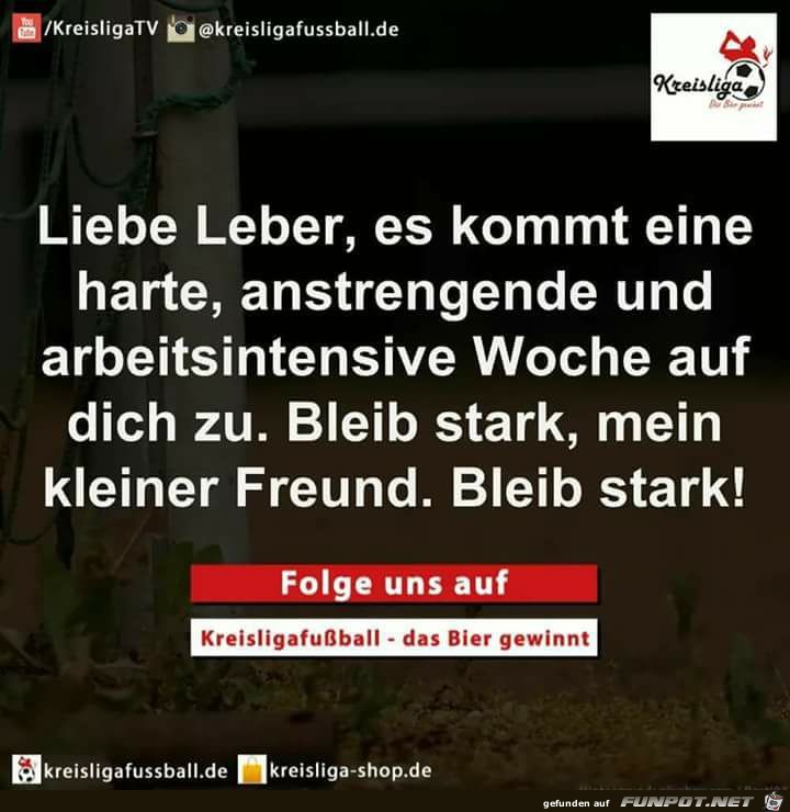 Liebe Leber Liebe Leber