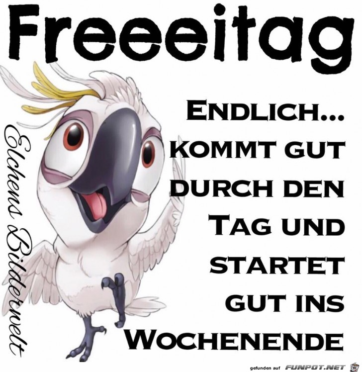 Freeeitag