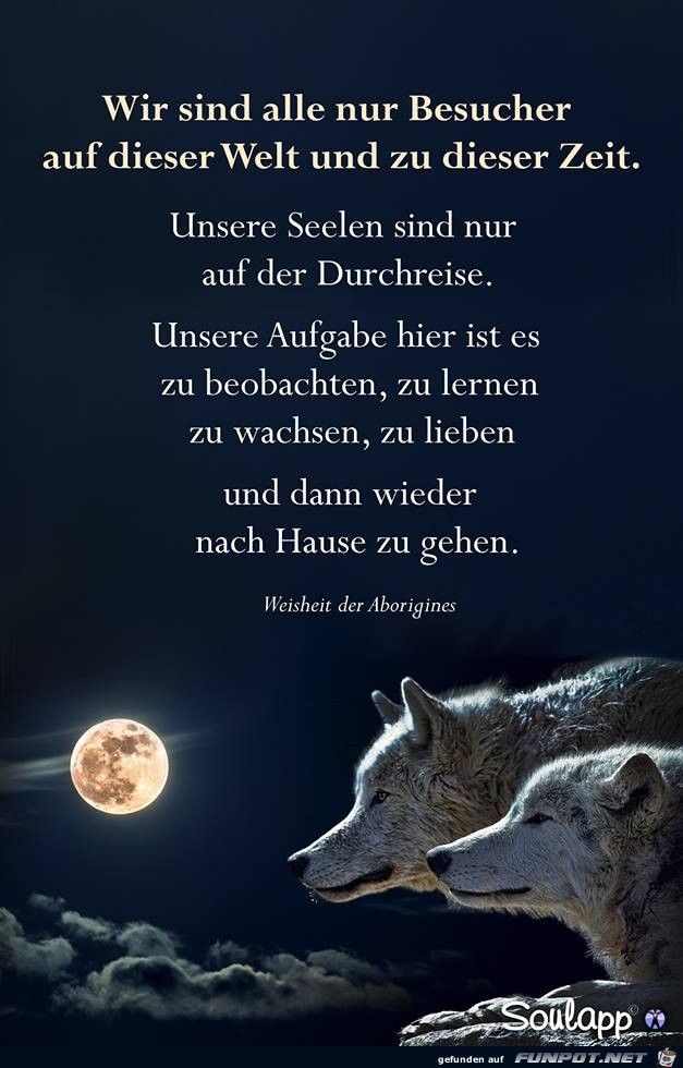 Wir sind alle nur Besucher Wir sind alle nur Besucher