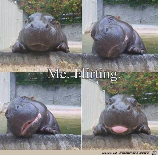 Ich flirte Ich flirte