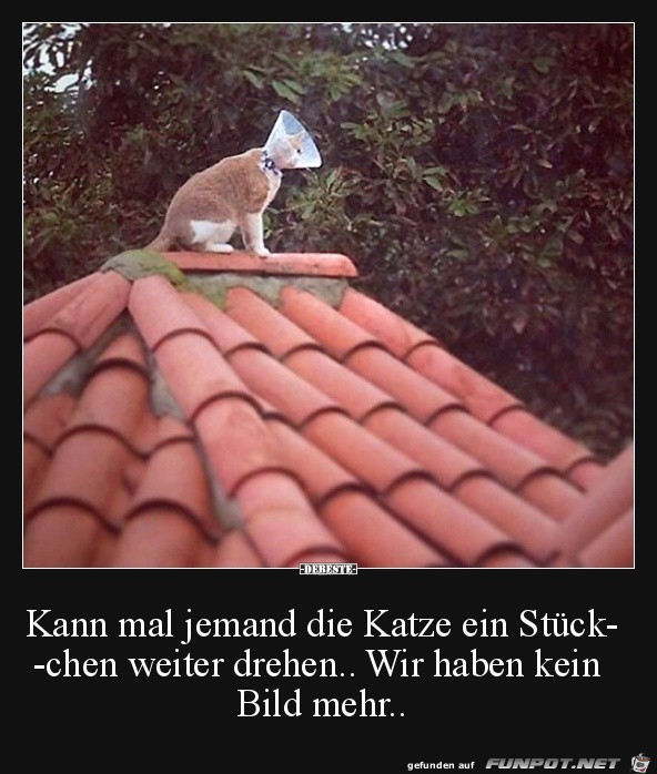 Kein Bild mehr! Kein Bild mehr!