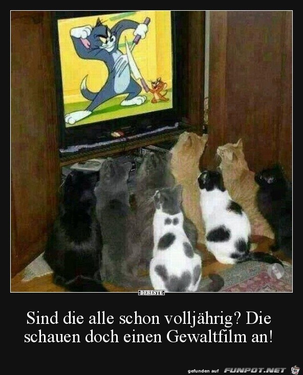 alle schon volljhrig?