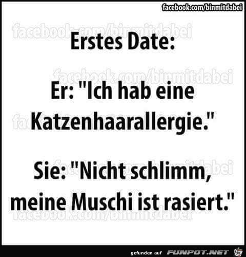 Katzenallergie Katzenallergie