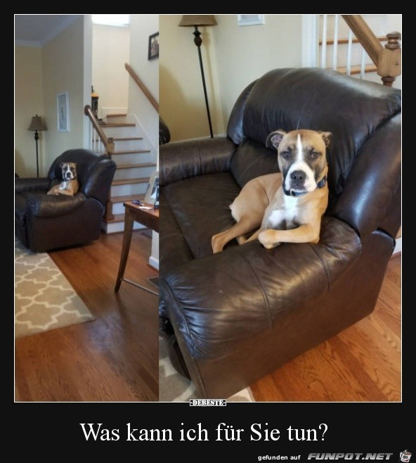 Was kann ich tun Was kann ich tun