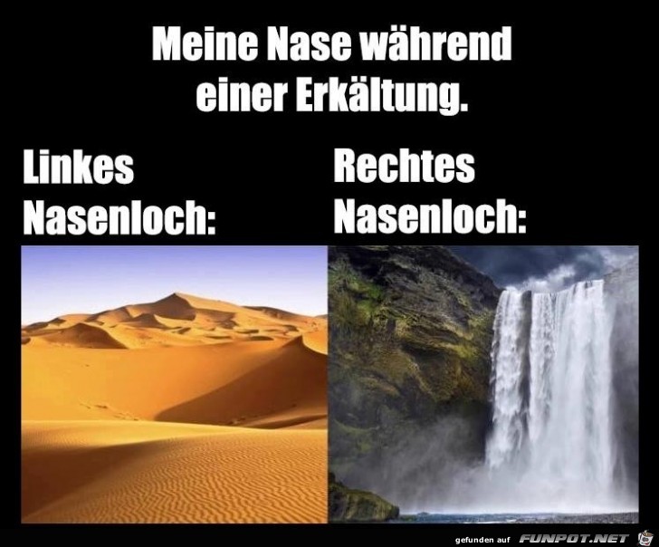 Gute Beschreibung Gute Beschreibung