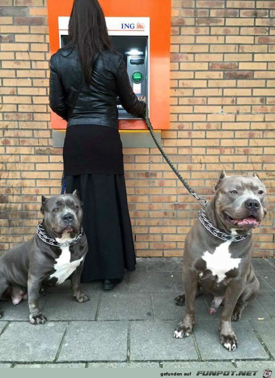 Tierische Bodyguards 010