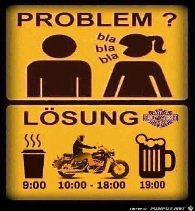 Problemlöser Problemlöser