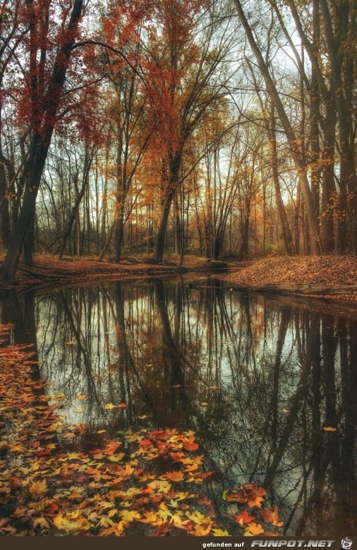 kunstvolle Herbststimmung