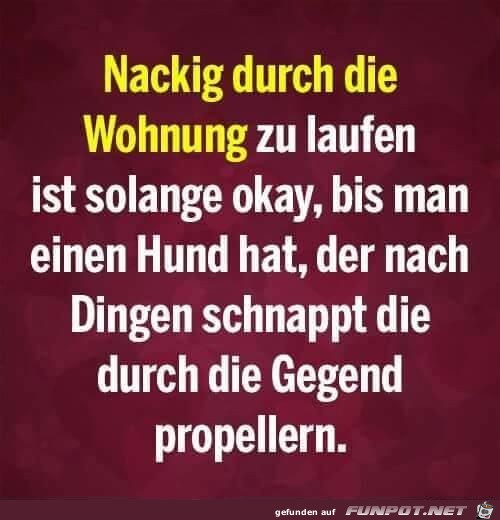 Nackig durch die Wohnung.......