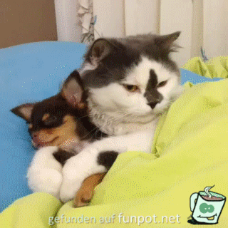 Soooo lieb Soooo lieb