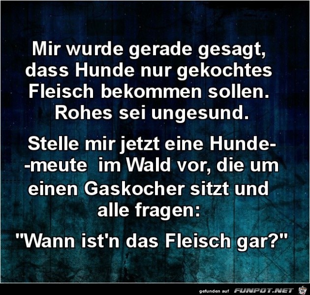 Gekochtes Fleisch Gekochtes Fleisch