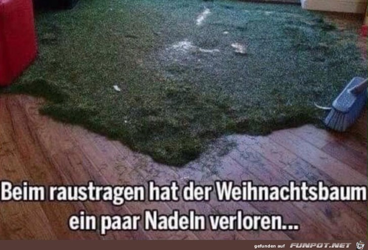 Ein paar Nadeln verloren Ein paar Nadeln verloren