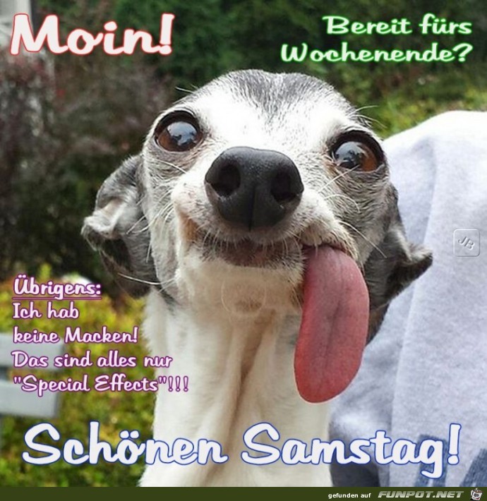 Samstag