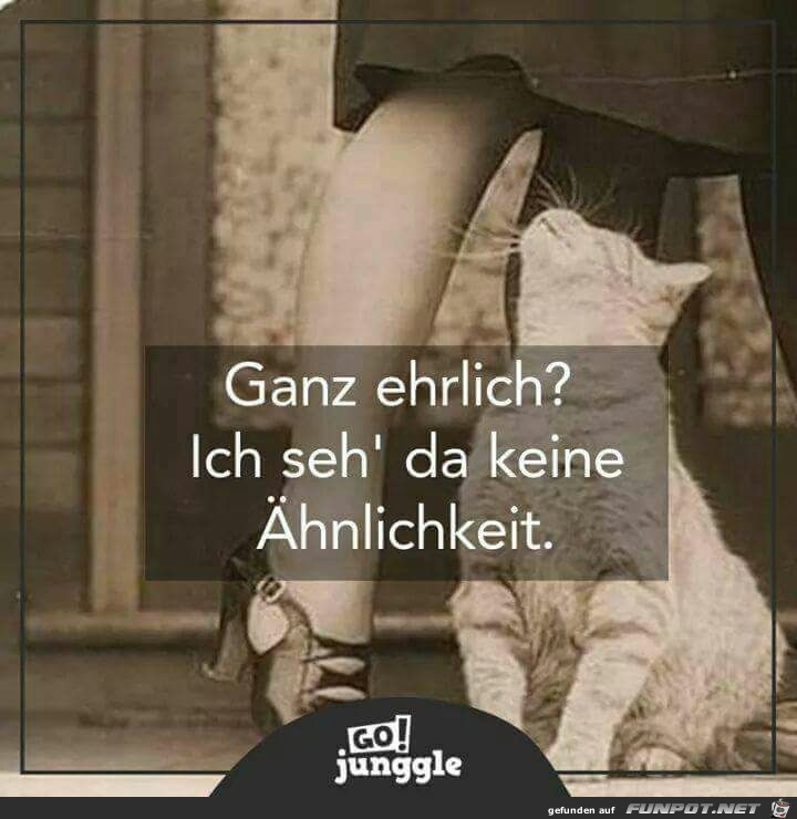 Keine hnlichkeit