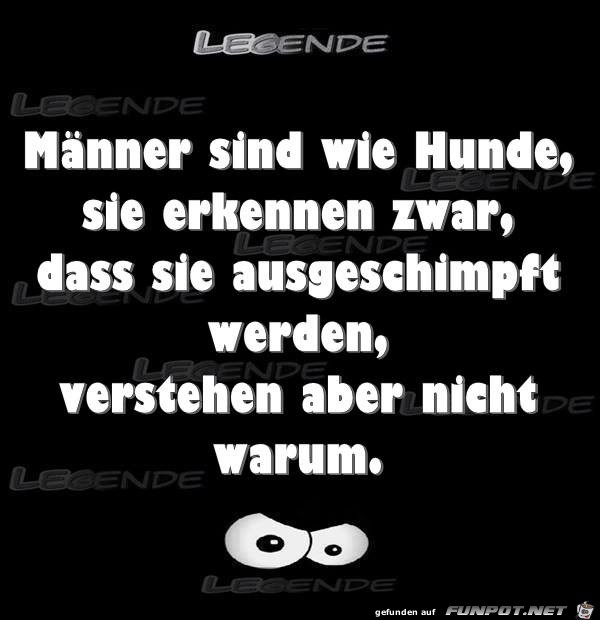 Männer sind wie Hunde Männer sind wie Hunde