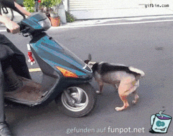 Mitfahrer Mitfahrer